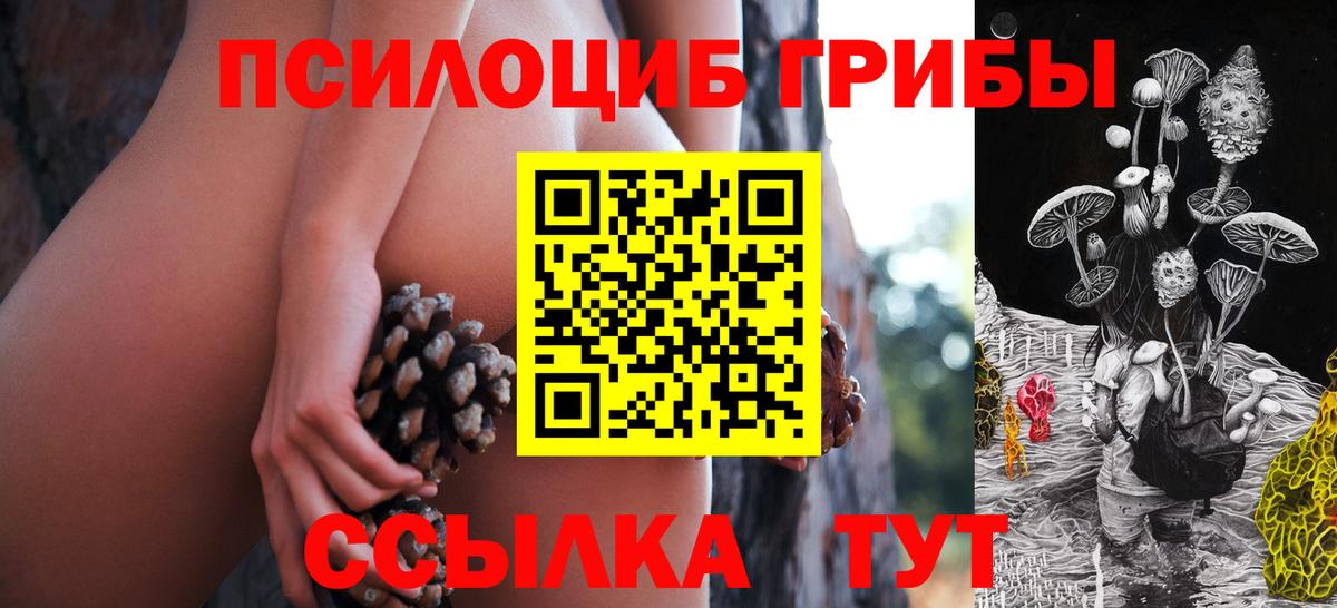 Галлюциногенные грибы мухоморы Аша